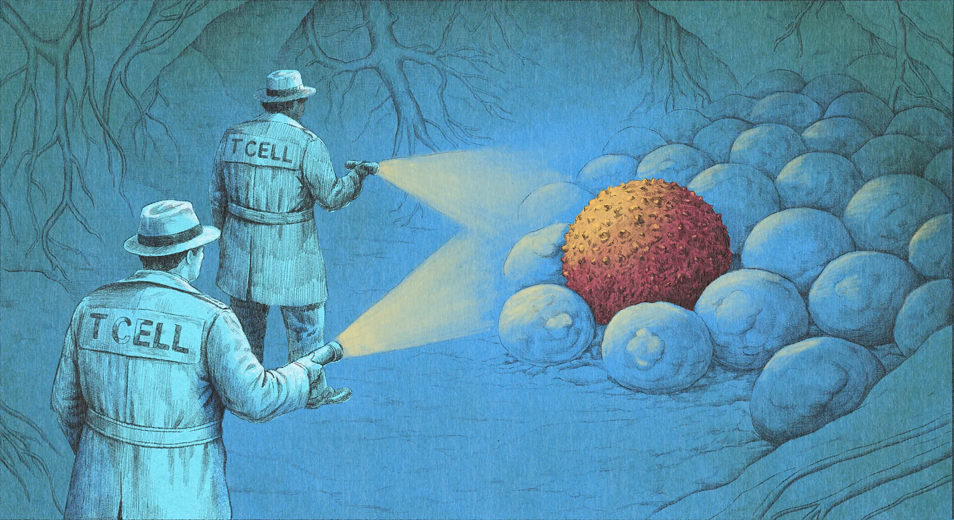 Breakthrough Immunotherapy Wave Is Transforming Cancer Treatment